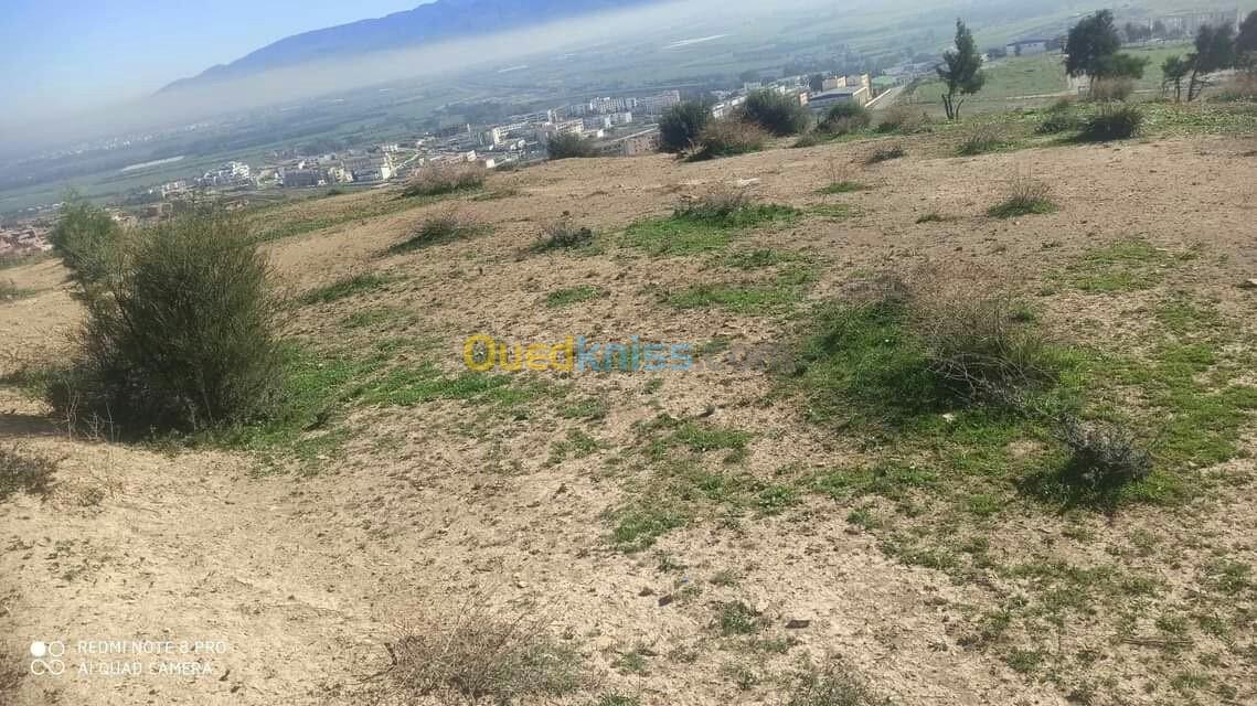 Vente Terrain Alger El madania