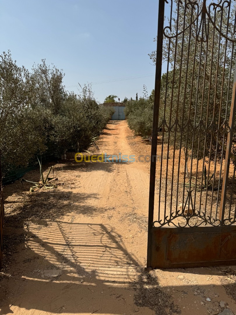 Vente Villa Mostaganem Ain nouissi