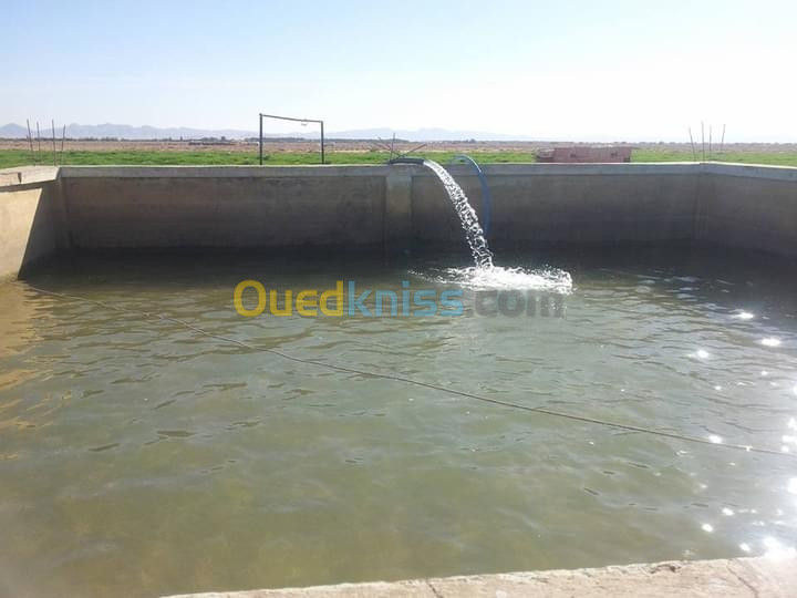 Vente Terrain Agricole Biskra El outaya