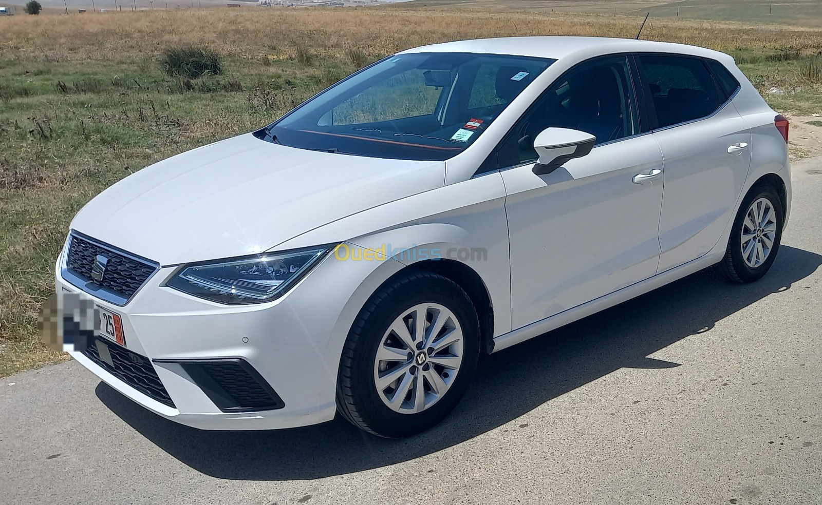 Seat Ibiza 2019 Ibiza