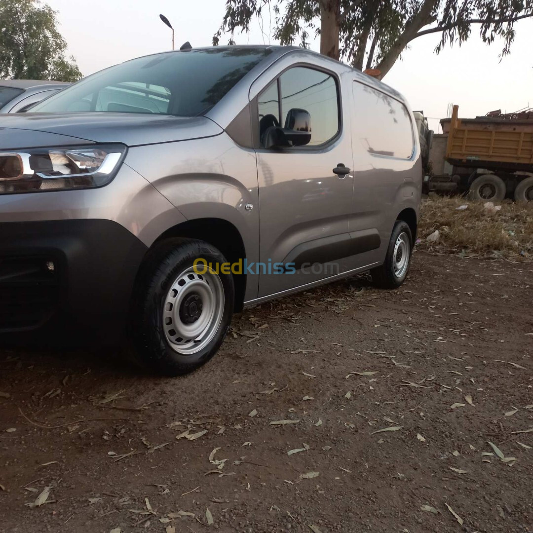 Fiat Doblo 2024 Professional