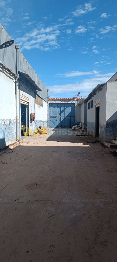 Vente Hangar Oran Sidi chami