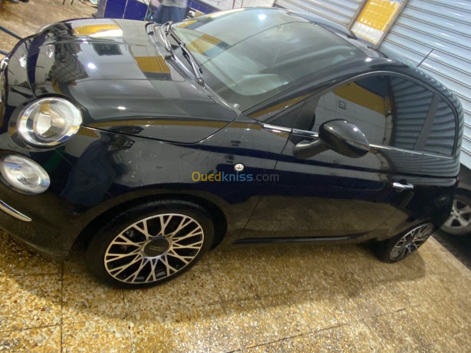 Fiat 500 2024 