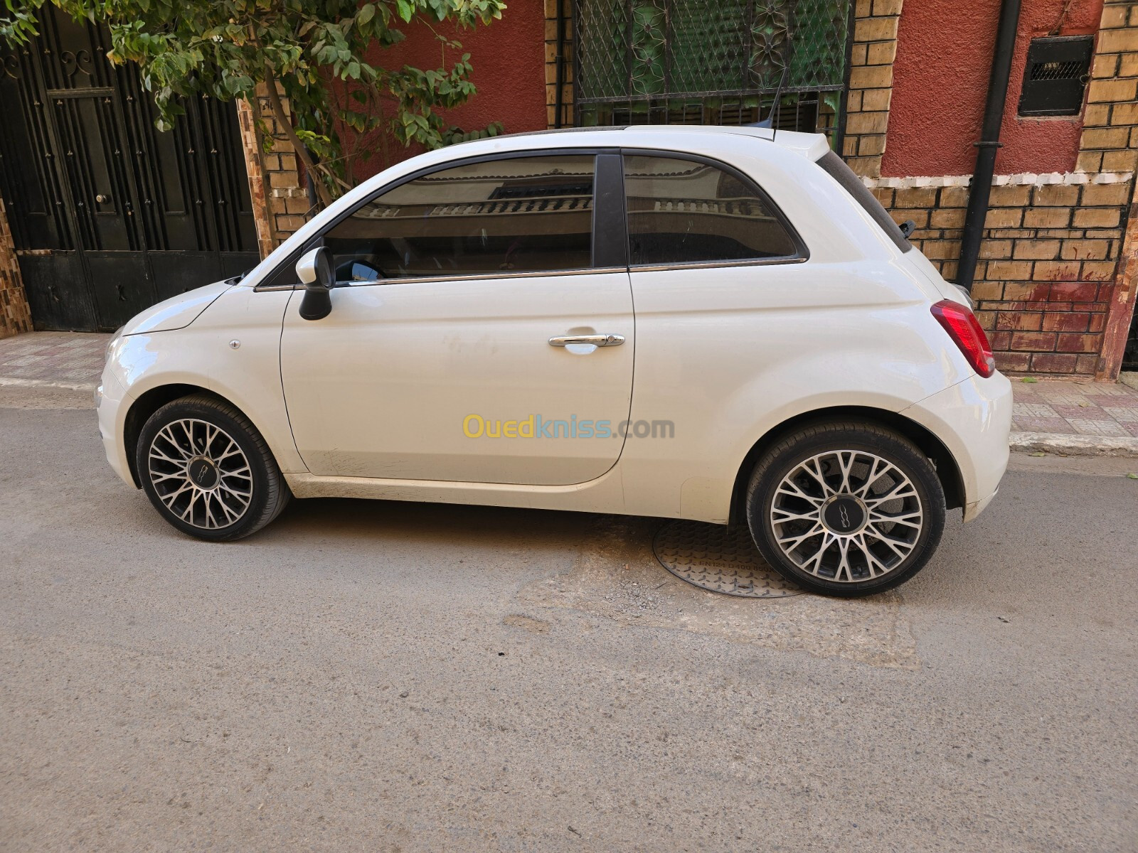 Fiat 500 2024 Dotchivita