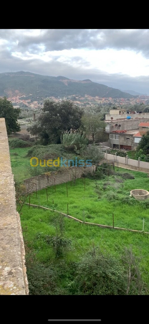 Vente Terrain Béjaïa Tala hamzadaira