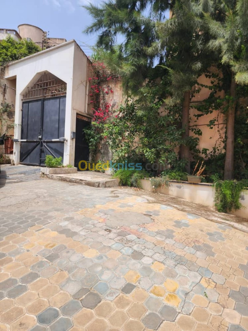 Vente Villa Alger Bouzareah