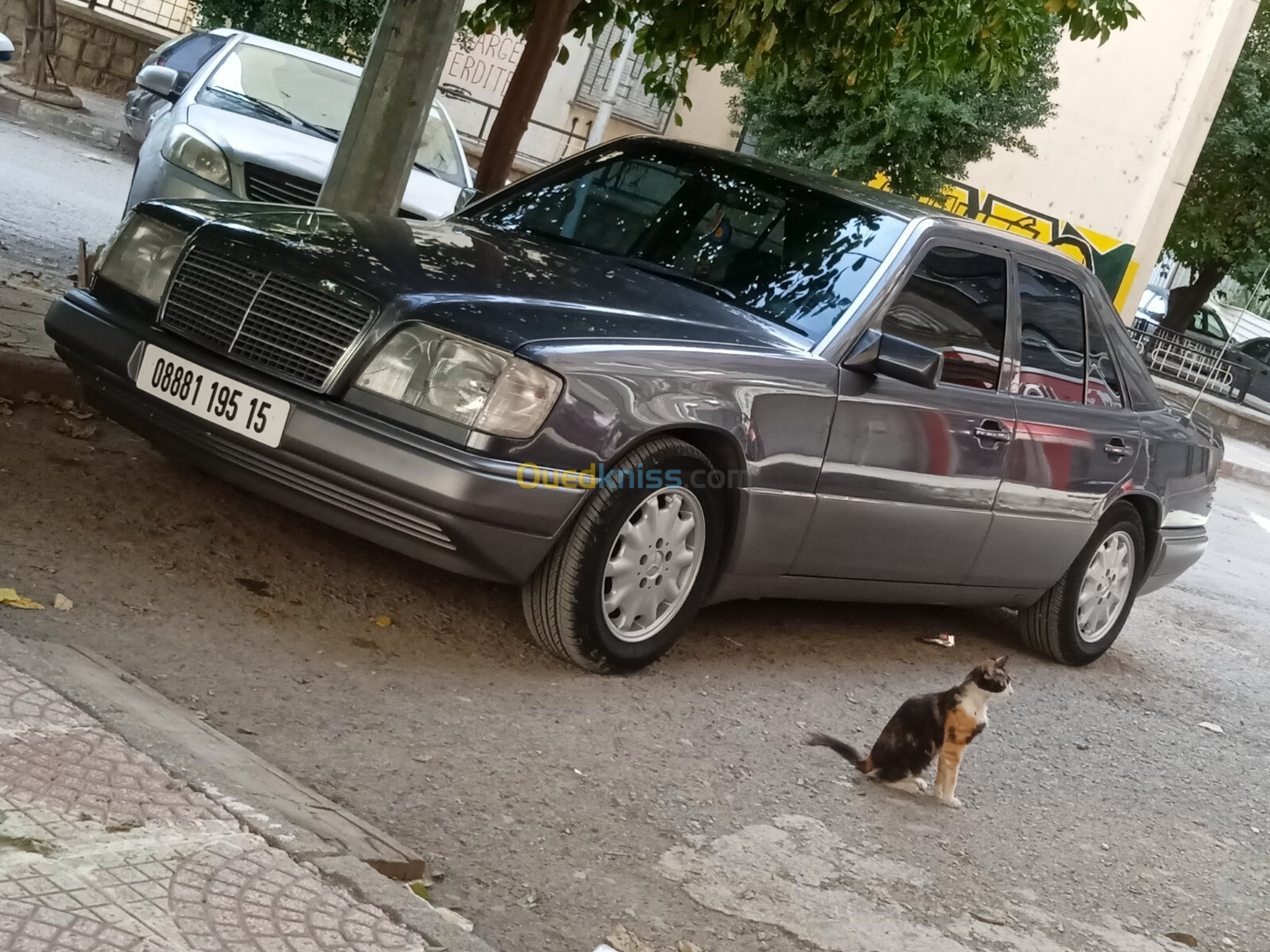 Mercedes 250 1995 