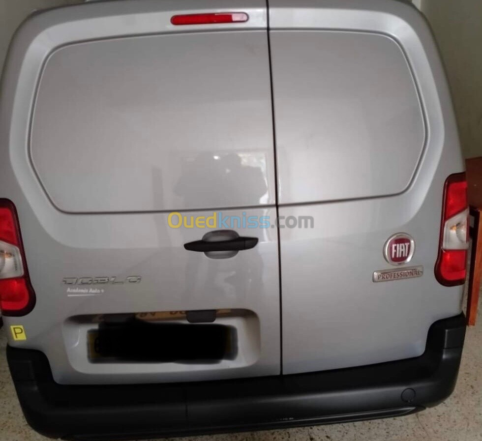 Fiat Doblo 2024 Professionnel