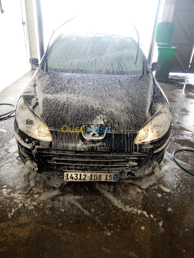 Peugeot 407 2008 407