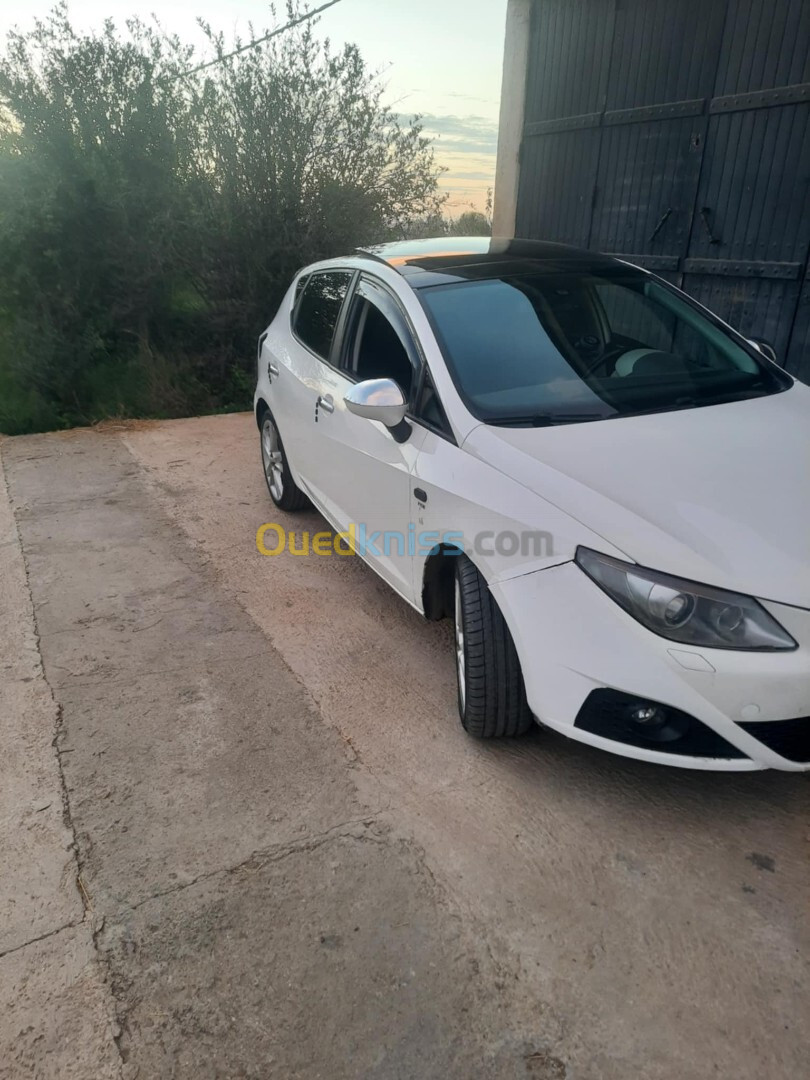 Seat Ibiza 2012 Loca