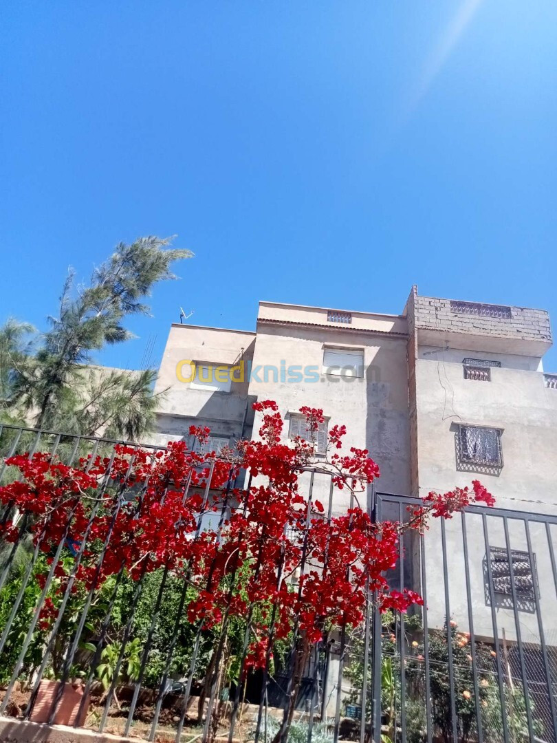 Vente Villa Tlemcen Tlemcen