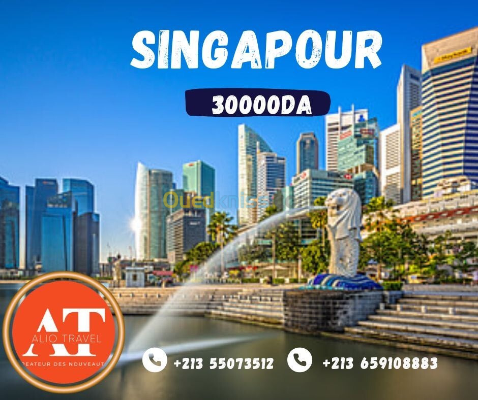 E-Visa Singapour