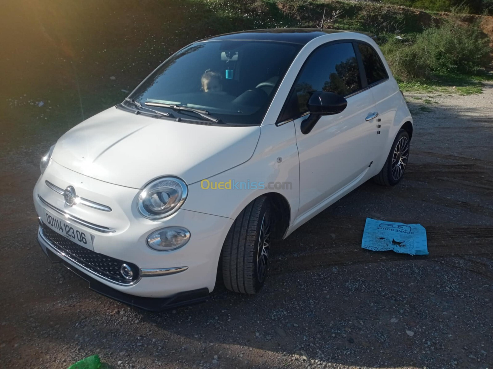 Fiat 500 2023 500