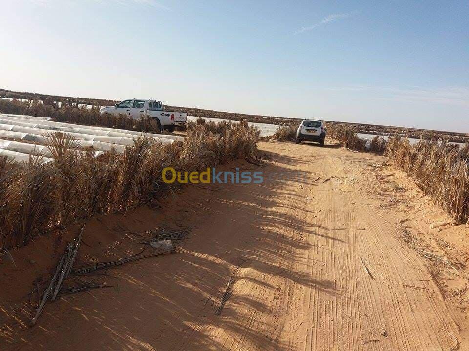 Vente Terrain Agricole Biskra Lioua