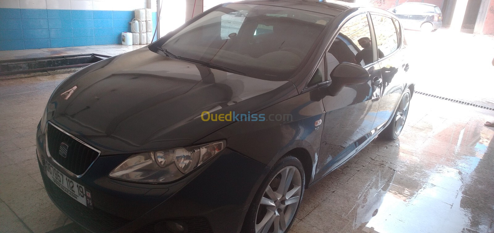 Seat Ibiza 2012 Loca