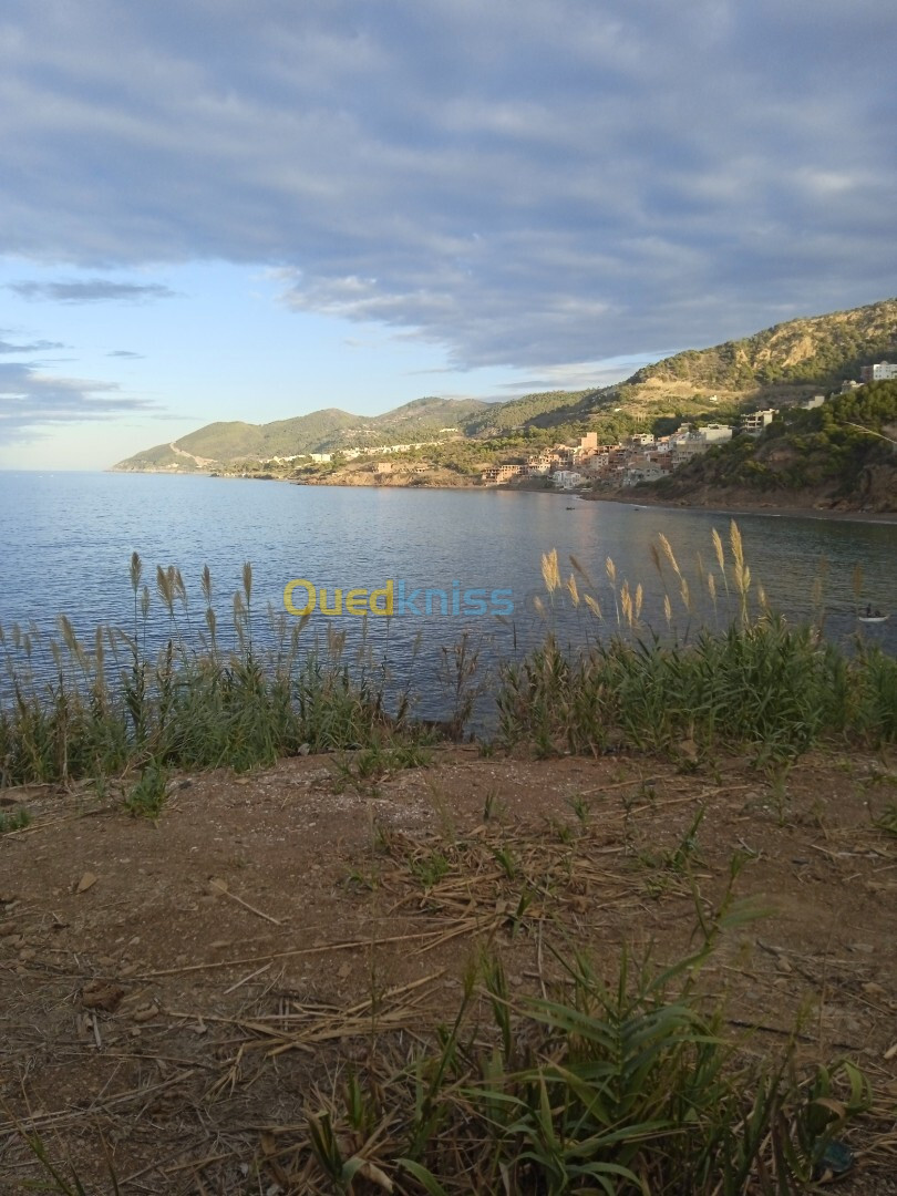 Vente Terrain Tipaza Larhat