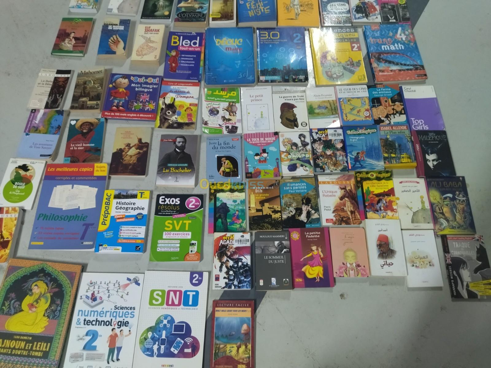 Vente lot de livres 