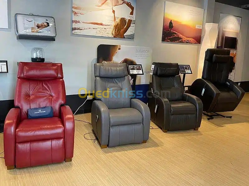 fauteuil releveur de relaxation avec massage dorsale électrique