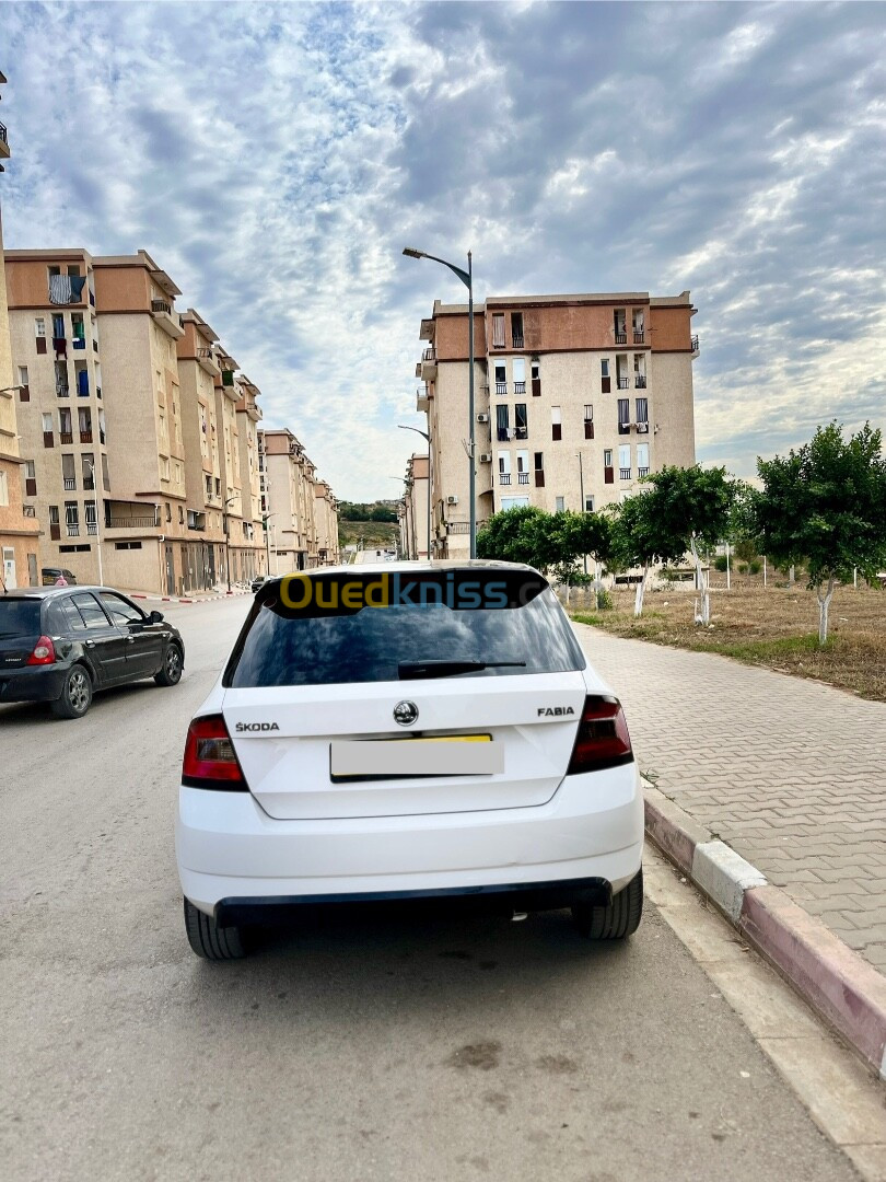 Skoda Fabia 2017 Monte Carlo