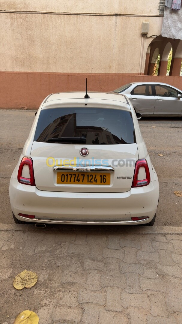 Fiat 500 2024 500