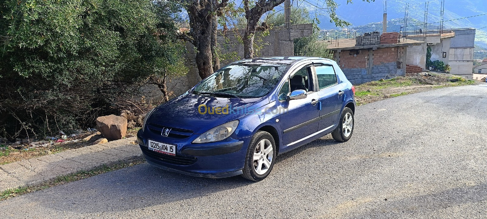 Peugeot 307 2004 307