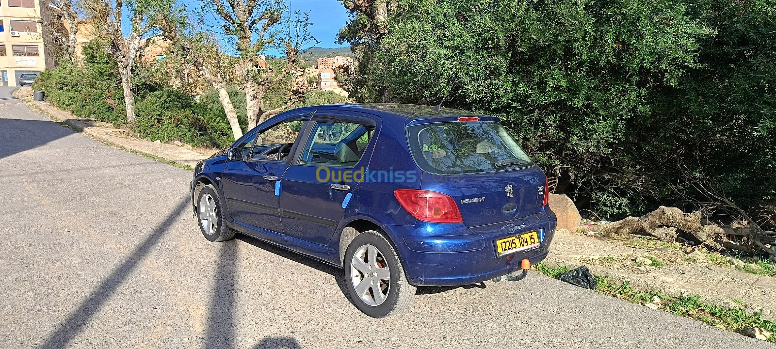 Peugeot 307 2004 307