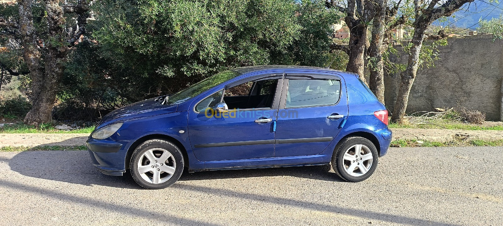 Peugeot 307 2004 307