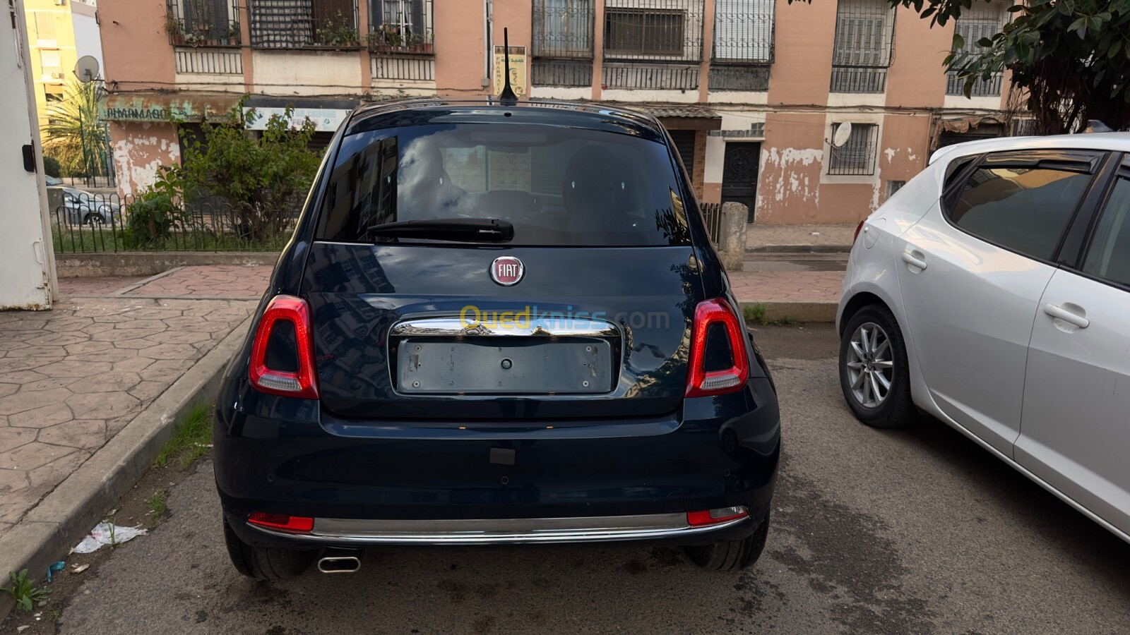 Fiat 500 2023 club