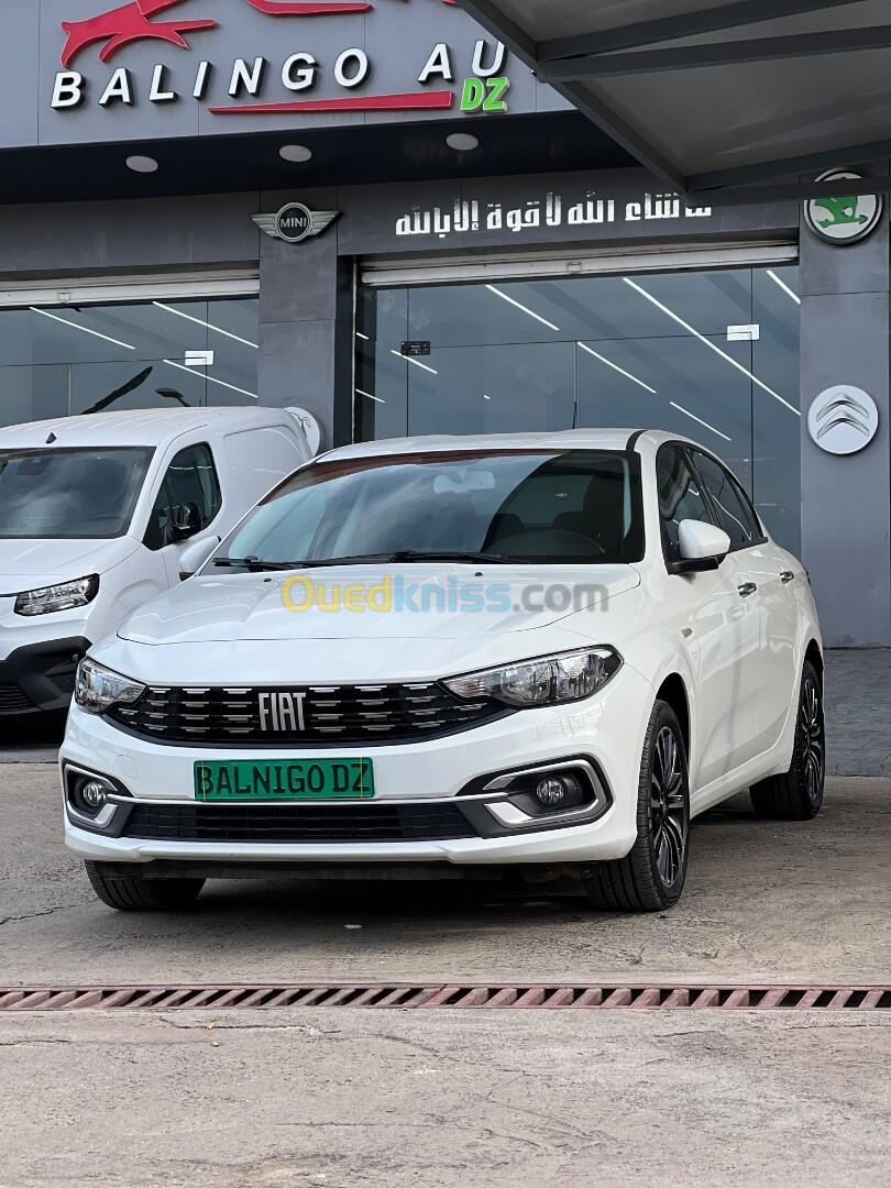 Fiat Tipo 2024 Live