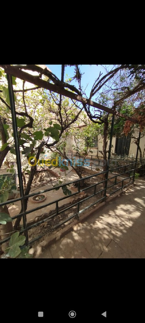 Vente Villa Sidi Bel Abbès Sidi bel abbes