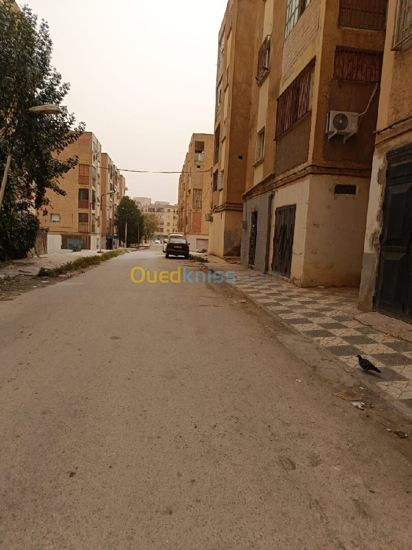 Vente Local Sidi Bel Abbès Sidi bel abbes