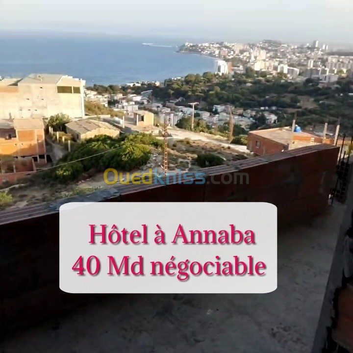 Vente Immeuble Annaba Annaba