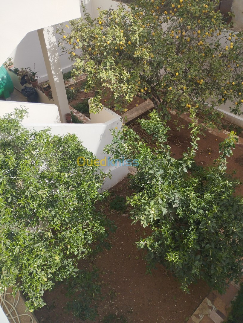 Vente Villa Oran Sidi chami