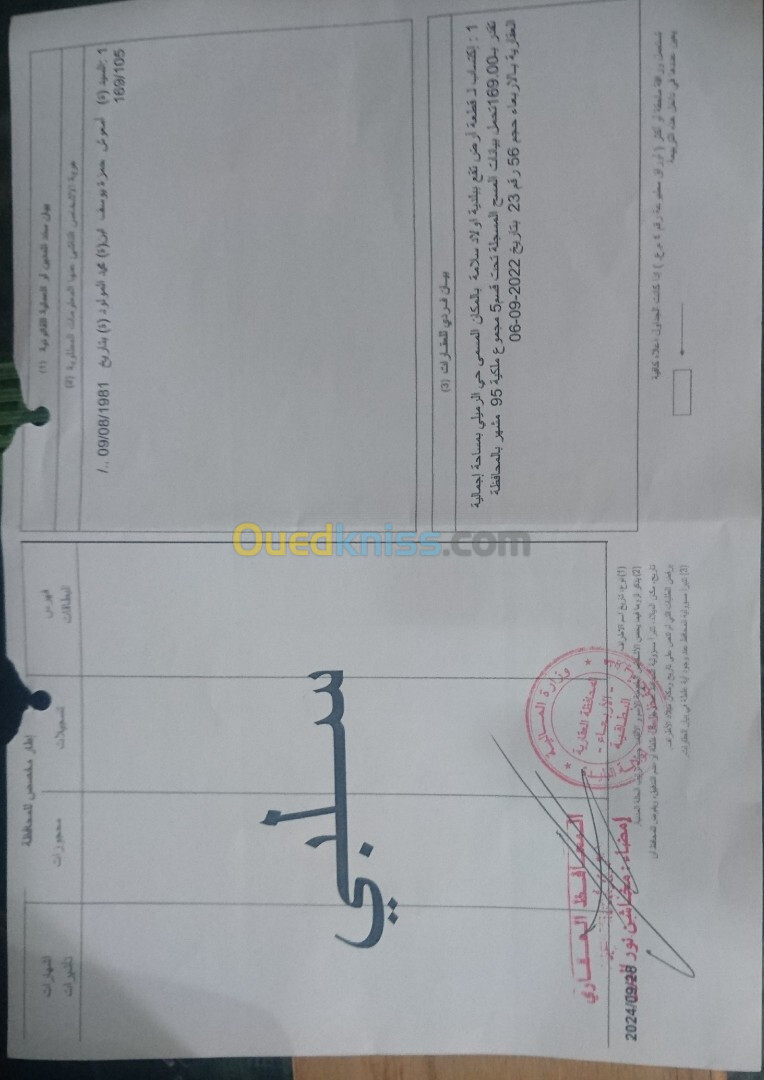 Vente Terrain Blida Ouled selama