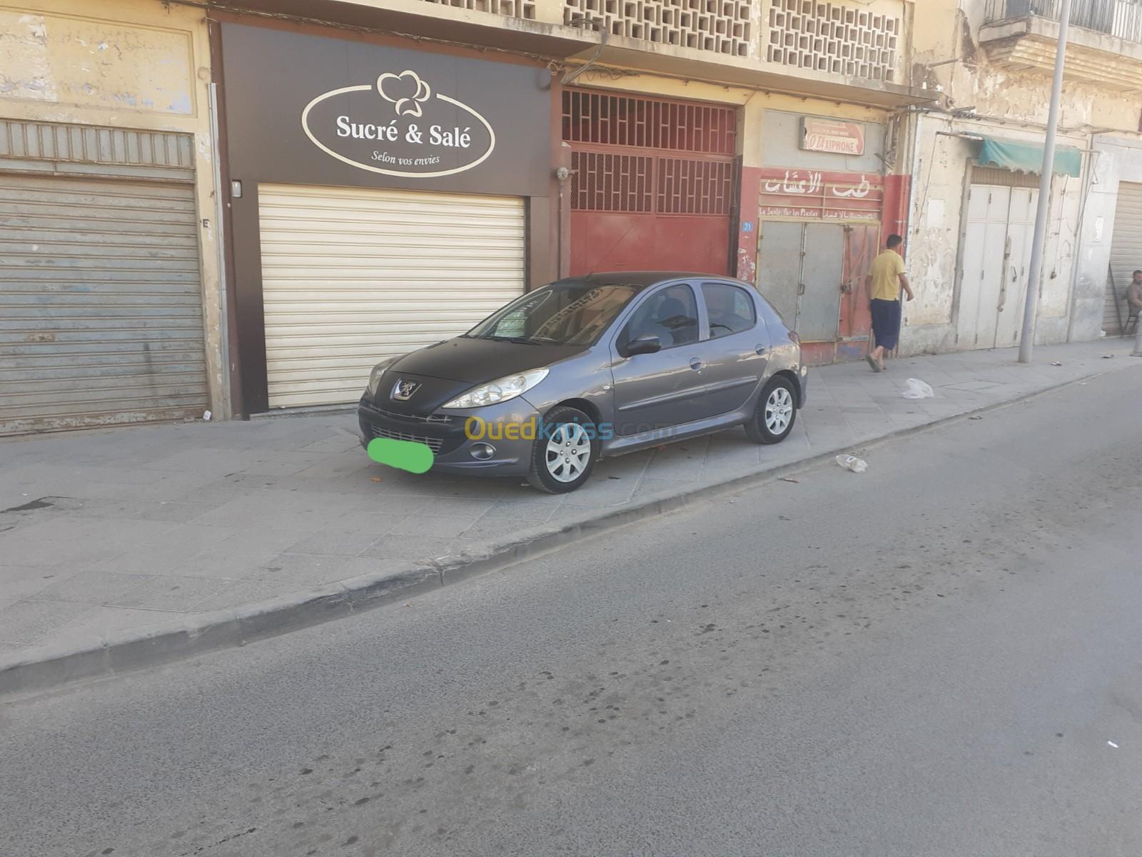 Peugeot 206 Plus 2010 La route