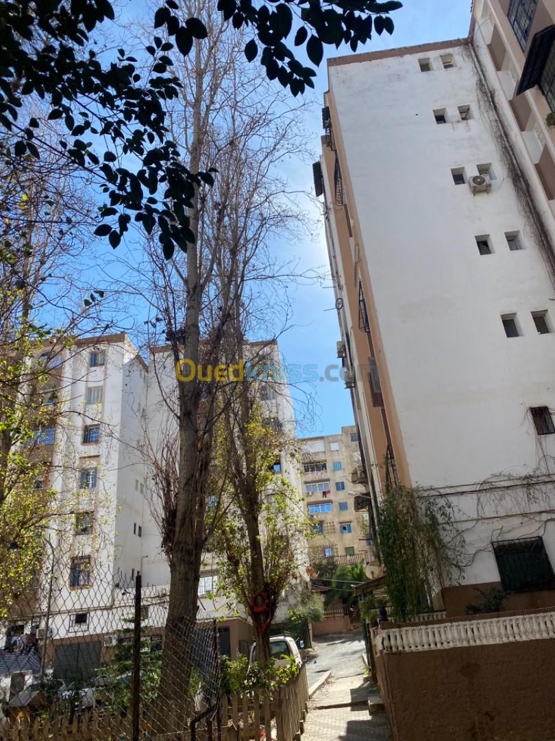 Location Appartement F3 Alger Ain naadja