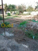 Vente Terrain Alger Ouled chebel