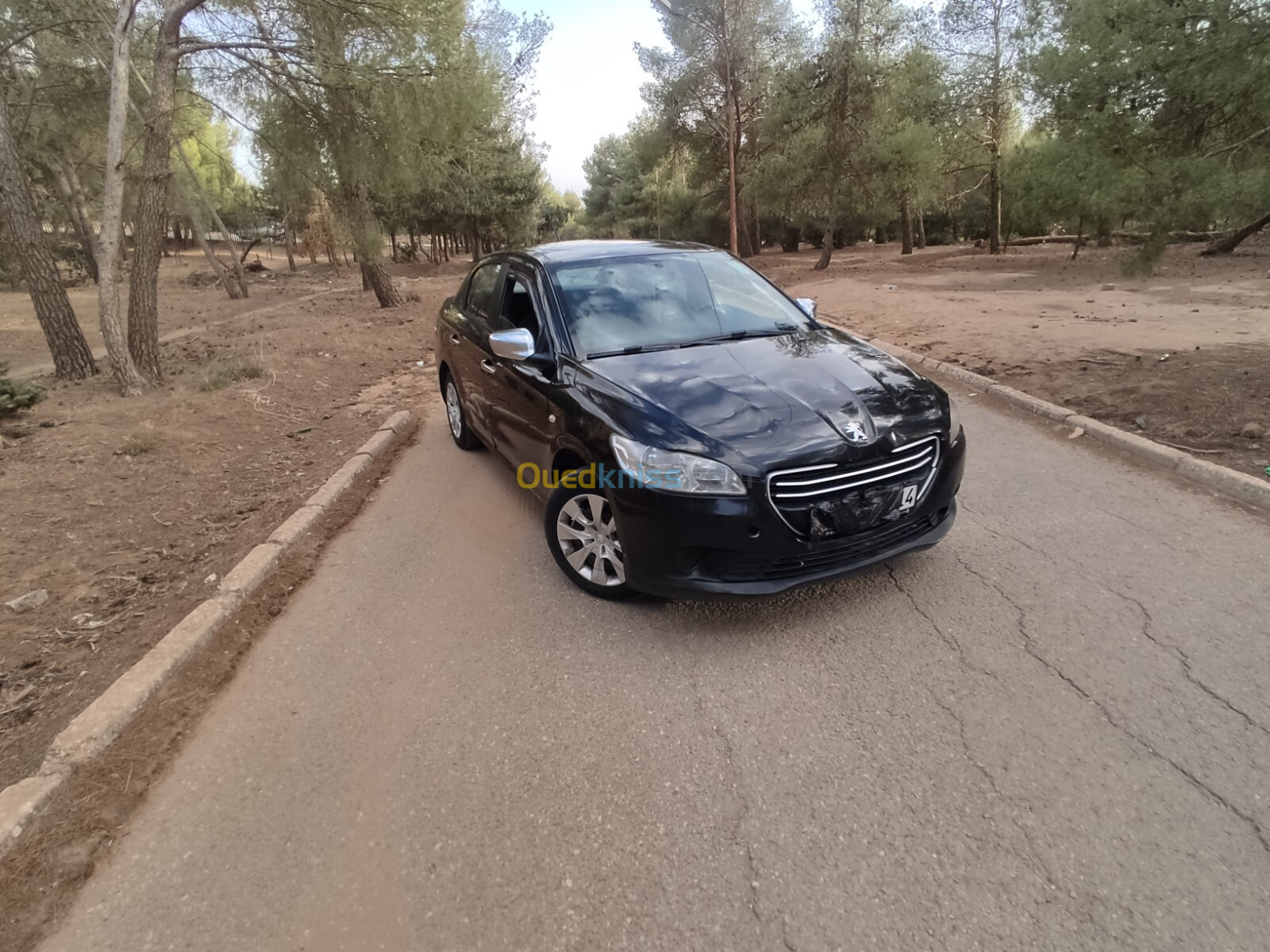 Peugeot 301 2013 Active