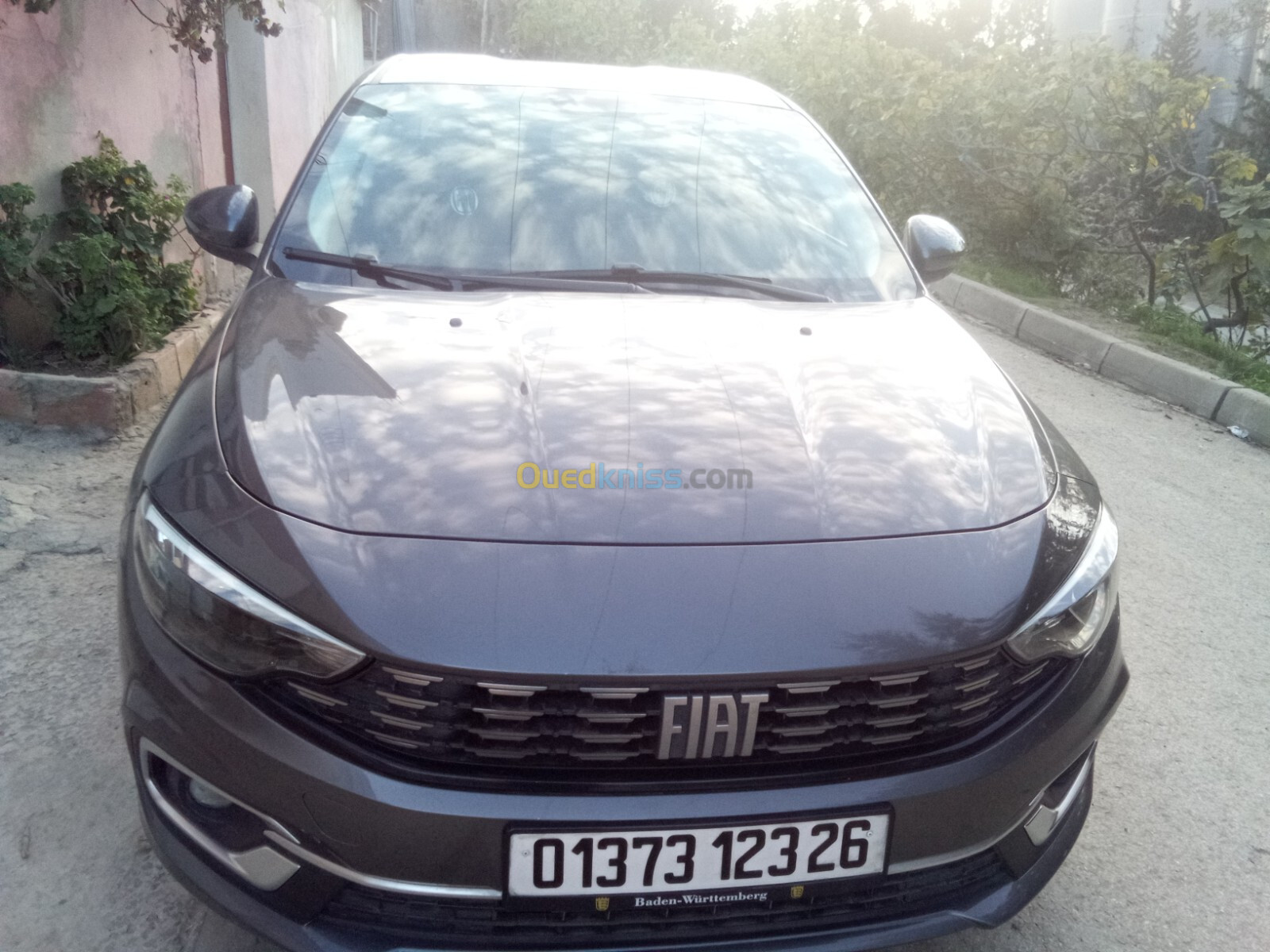 Fiat تيبو 2023 لايف