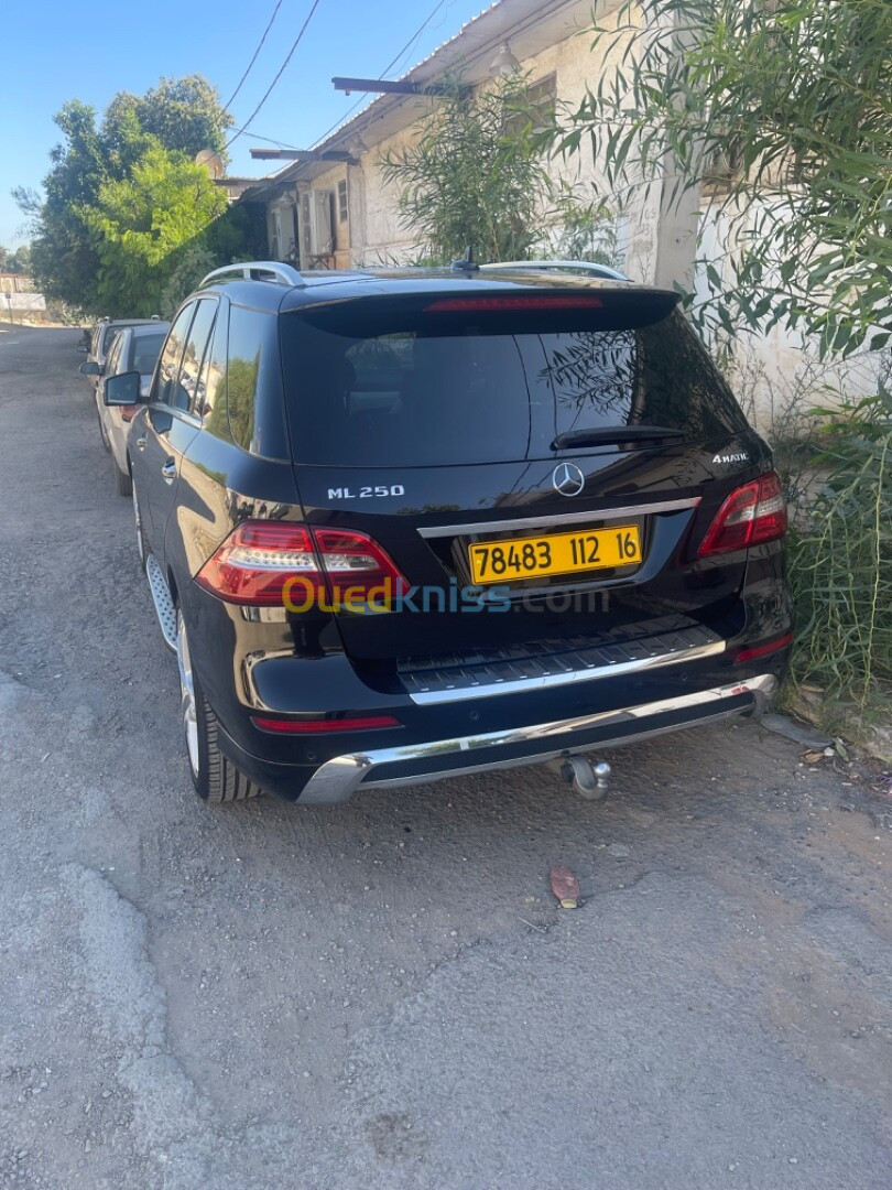 Mercedes ML 2012 250 CDI Pack AMG