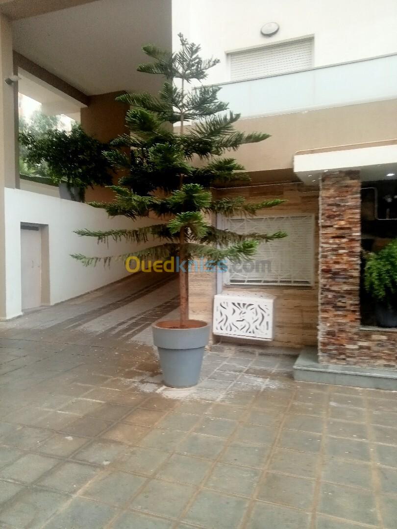 Vente Appartement F3 Alger Ouled fayet