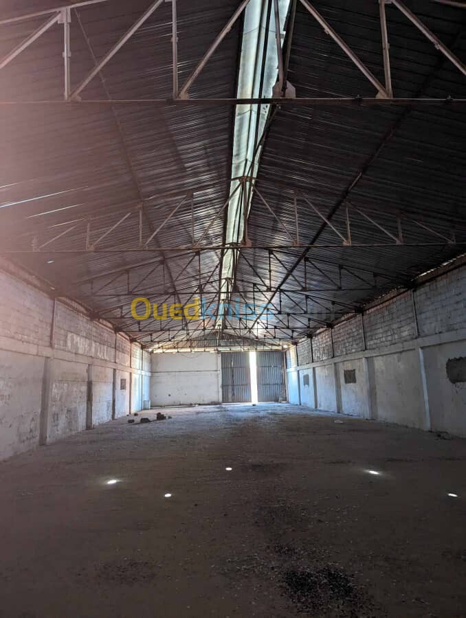 Location Hangar Aïn Defla Khemis miliana