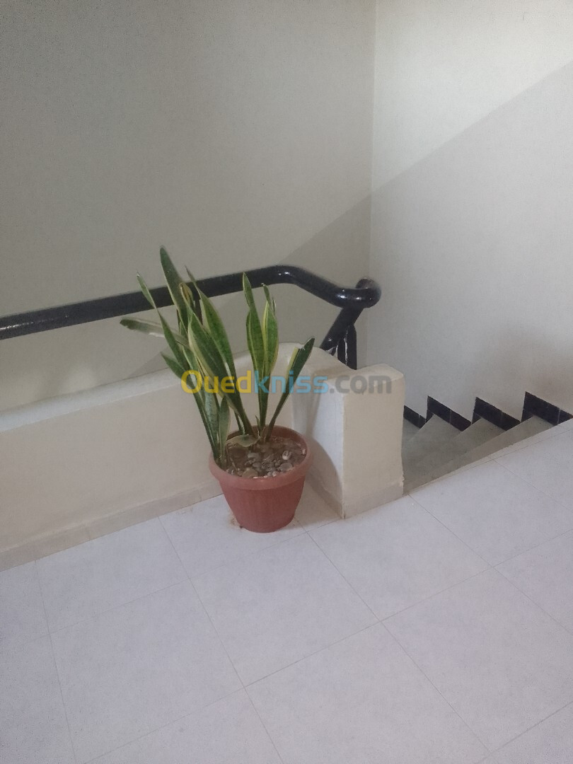 Location Appartement F3 Alger Hydra