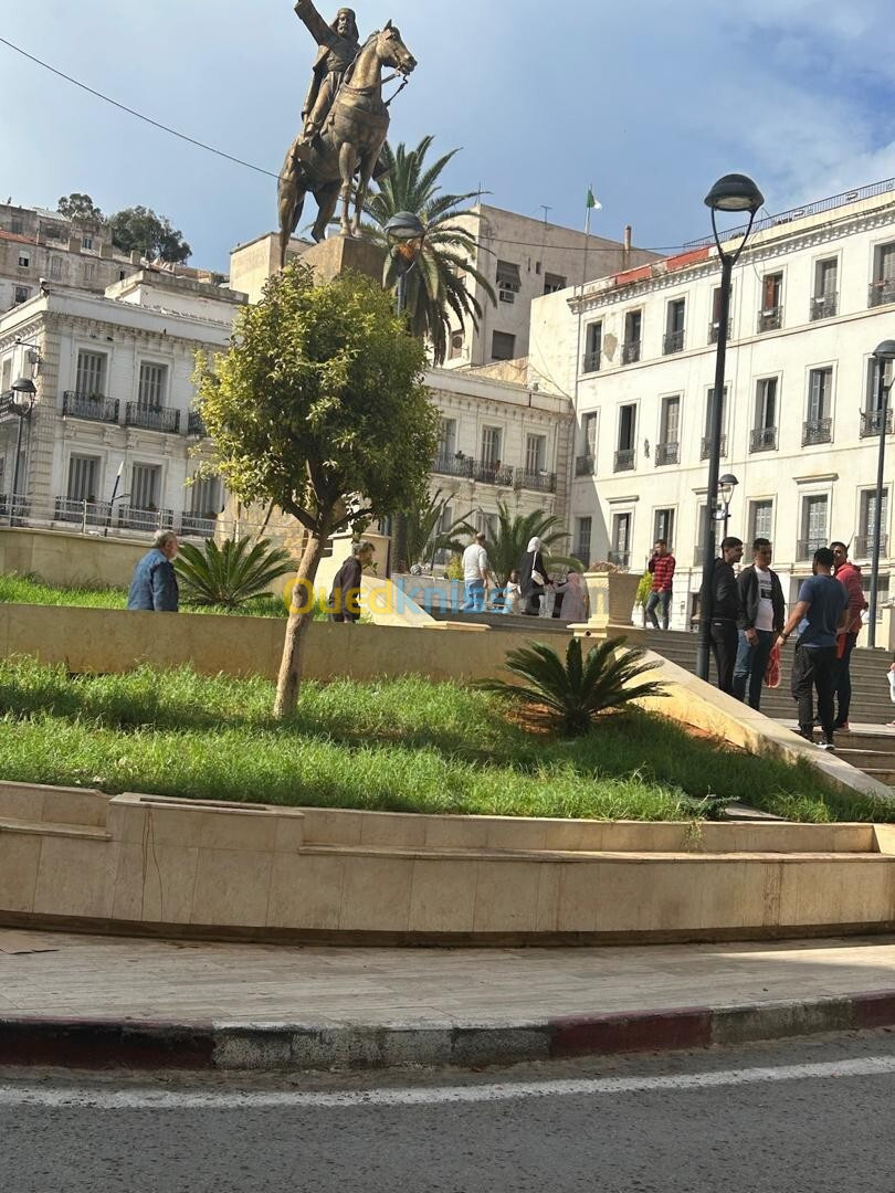 Location Immeuble Alger Alger centre