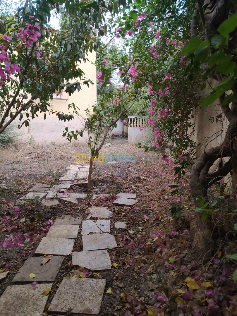 Vente Villa Tipaza Douaouda