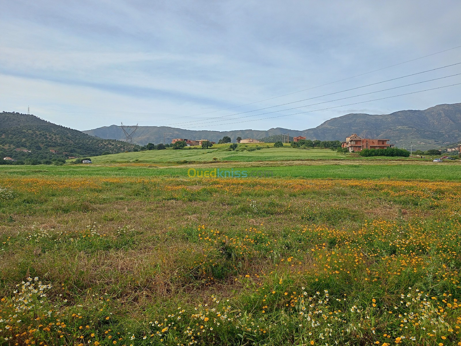 Vente Terrain Bouira Taghzout