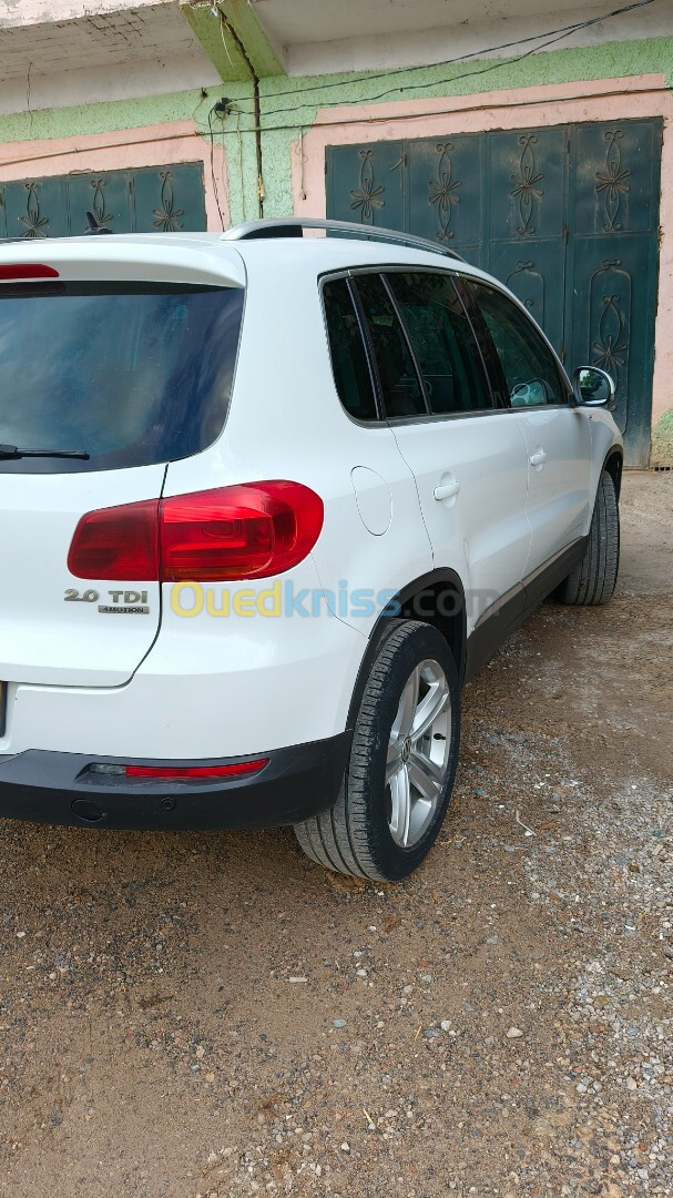 Volkswagen Tiguan 2014 Cup