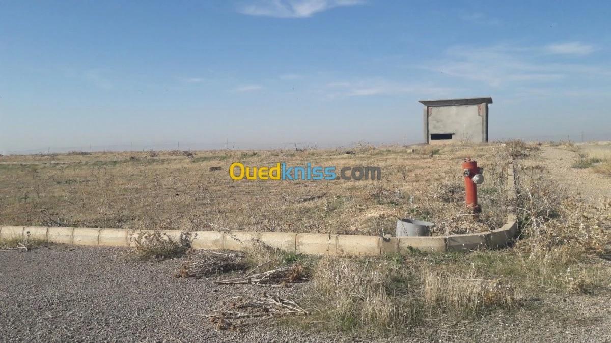 Vente Terrain Sétif Mezloug