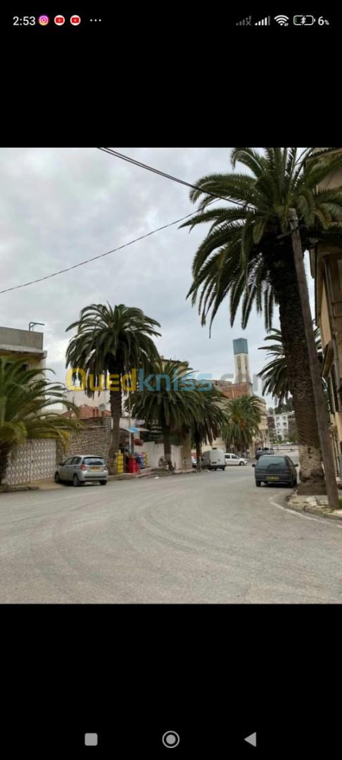 Vente Villa Alger El harrach