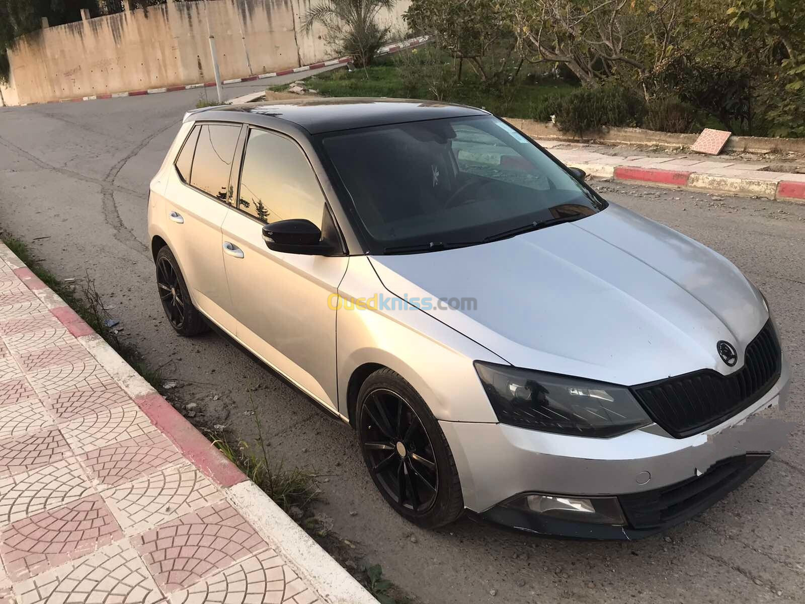 Skoda Fabia 2017 Monte Carlo